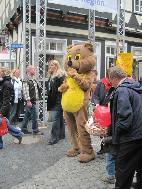 Der Bär vom SoVD