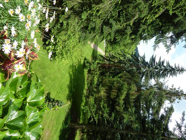 Zu pflanzen einen Baum (...).