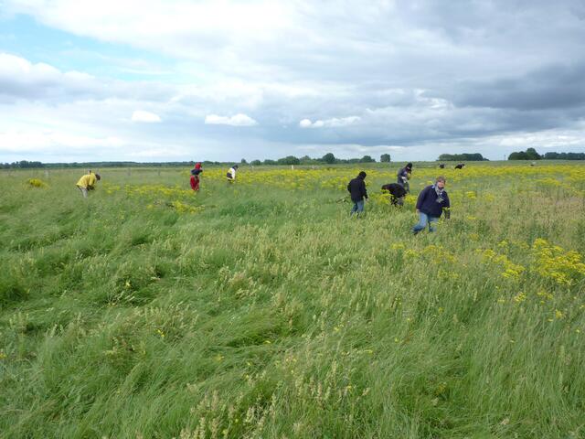 Die Front schreitet voran