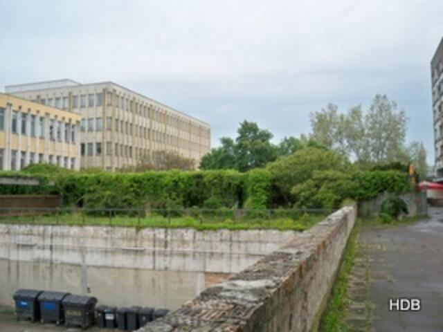 Staudenhof 2010
