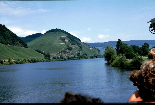 Weinberge an der Mosel
