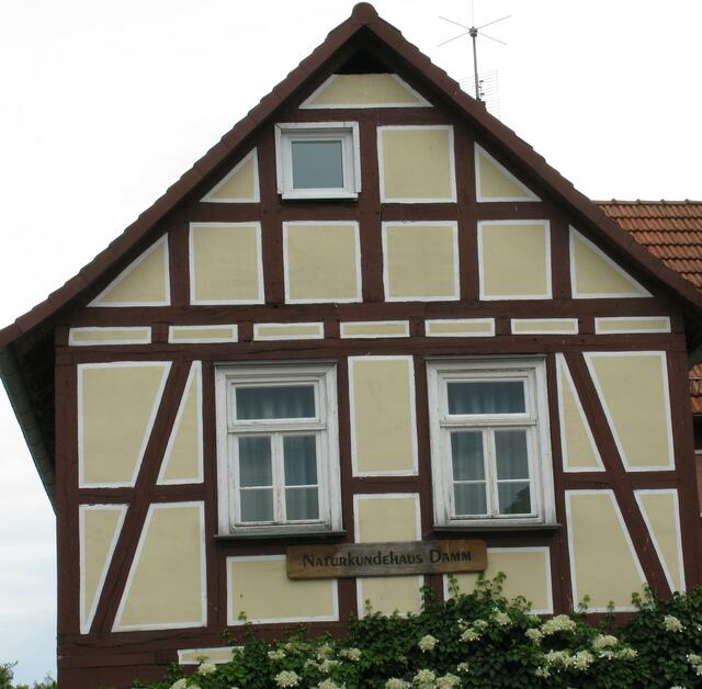 Naturkundehaus mit dem Einflugloch für Turmfalken unter dem Dach