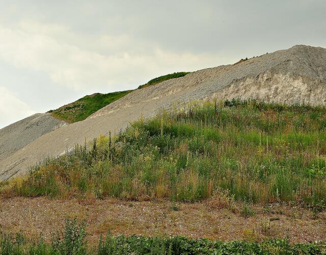 Der Berg