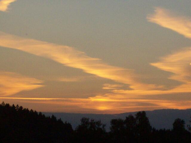 Eichenau, 23.6.10, 21:30, Blickrichtung Hoflacher Berg, aufschleiernde Chemtrails