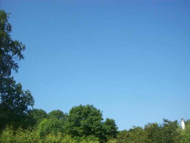 Eichenau, 25.6.10, 9:15 Uhr, keine Chemtrails, Blickrichtung Hoflacher Berg/Roggensteiner