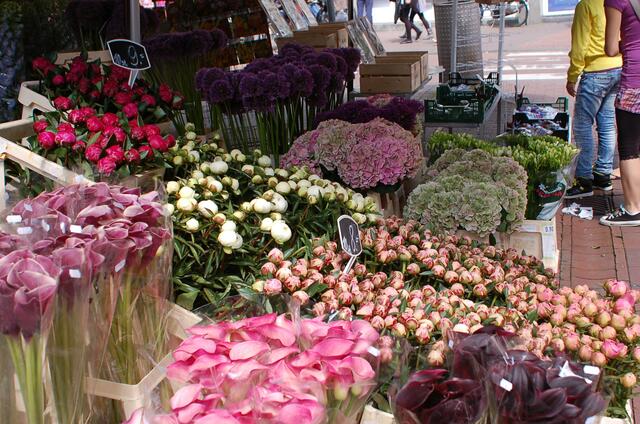 Auch das ist Amsterdam....Blumen über Blumen