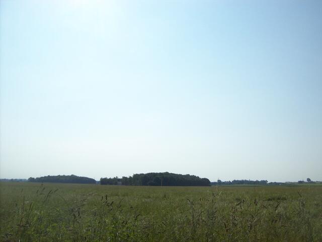 Eichenau, 25.6.10, 9:14 Uhr, keine Chemtrails, Blickrichtung B2