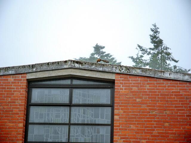 Auf geht's ...