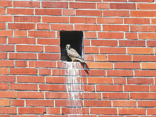 Ob ich wohl auch abfliegen sollte ???