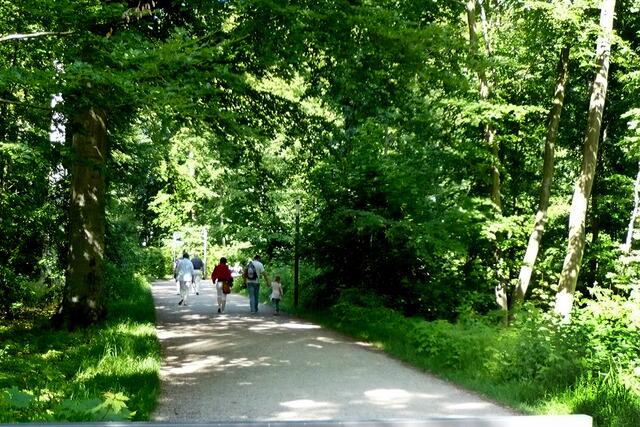 Auf dem Wanderweg zwischen der Kühlungsborner Straße und der Strandpromenade