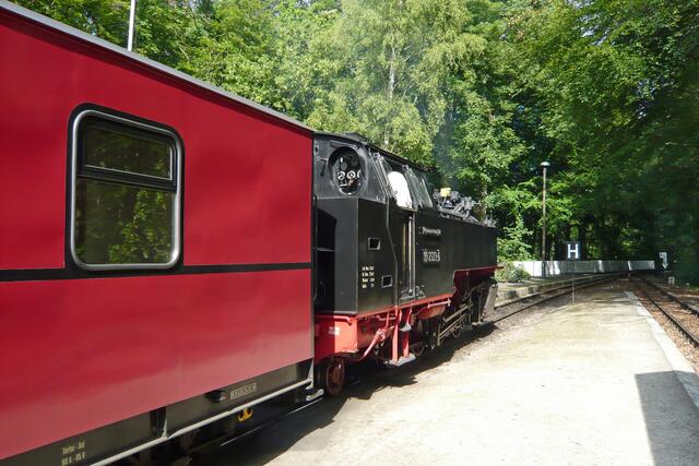 Abfahrt des "Mollis" in Richtung Bad Doberan 16.59 Uhr (Fahrzeit 19 Minuten)
