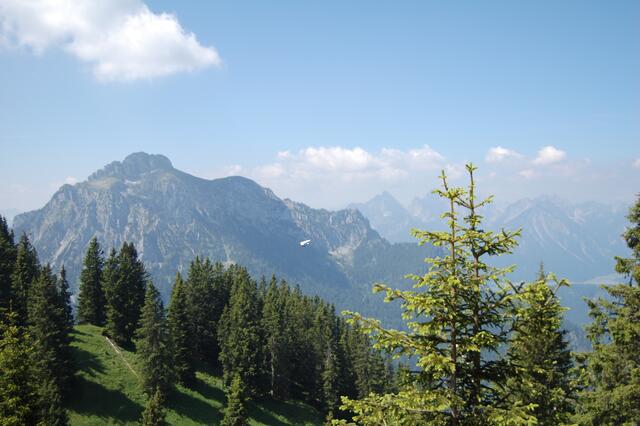 Bergpanorama mit Blick auf den Säuling