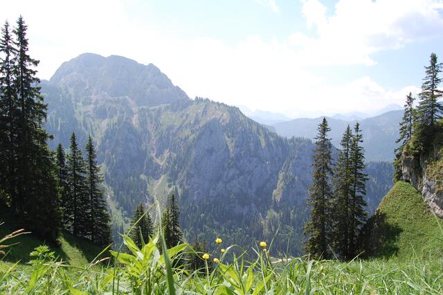 Bergpanorama
