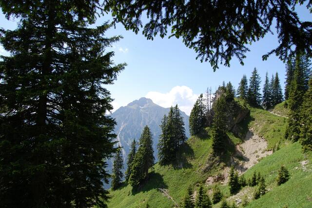 Bergpanorama