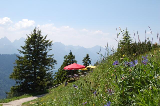 Alpenpanorama