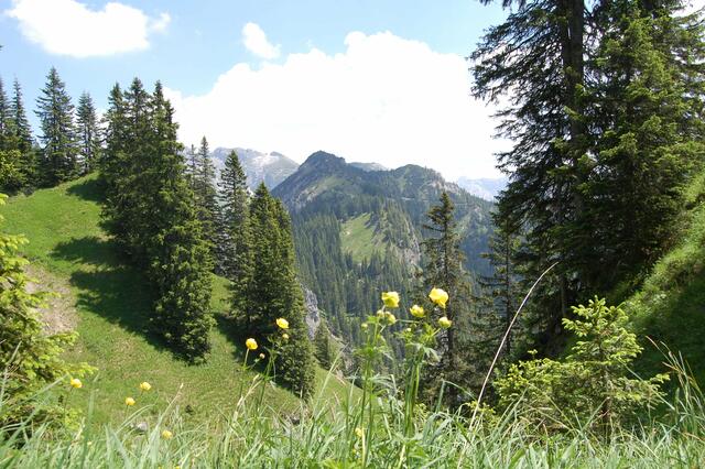 Bergpanorama