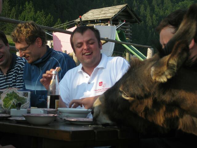 ...und dann isst er mit. Da ist das Frühstück für die Katz´ (den Esel)