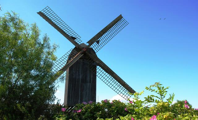 Und diese herrliche Hecke im Vordergrund...