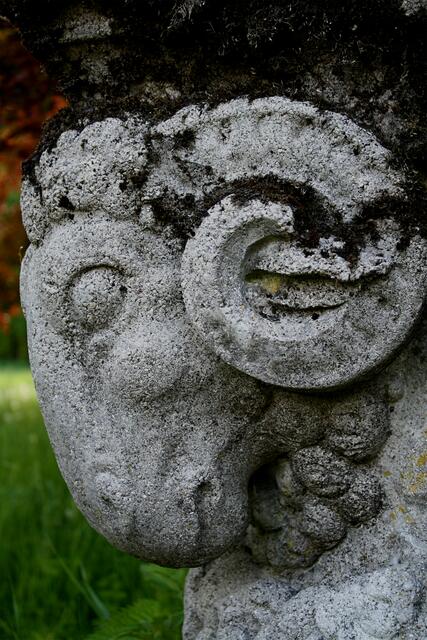 ... imposante Erscheinung - "Widderkopf"