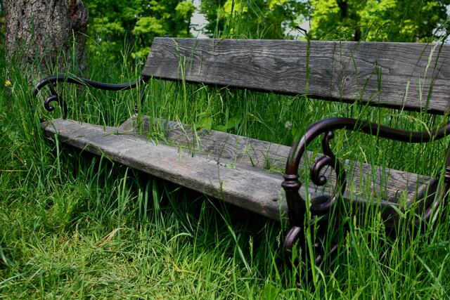 ... nach soviel Schönheit und Inspiration lädt die Parkbank - "im Gras sitzend" - zum erholsamen Verweilen.