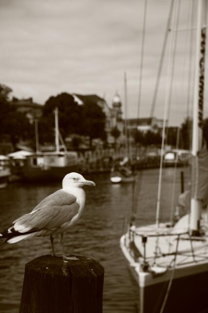 Meine Favoriten am Meer