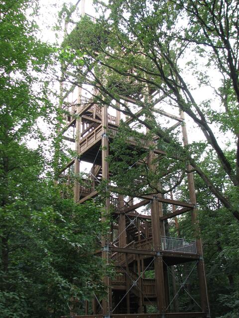 Waldstation Eilenriede: Wald-Hochhaus (©Katja Woidtke) | Foto: Katja Woidtke