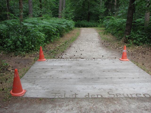 Waldstation Eilenriede: Station Spuren im Wald (©Katja Woidtke) | Foto: Katja Woidtke