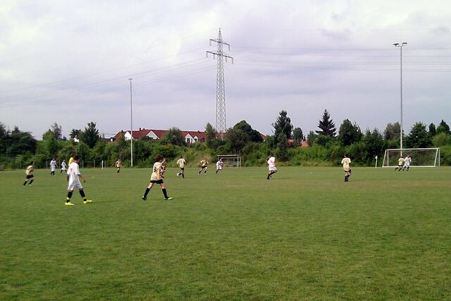 Immer in Bewegung