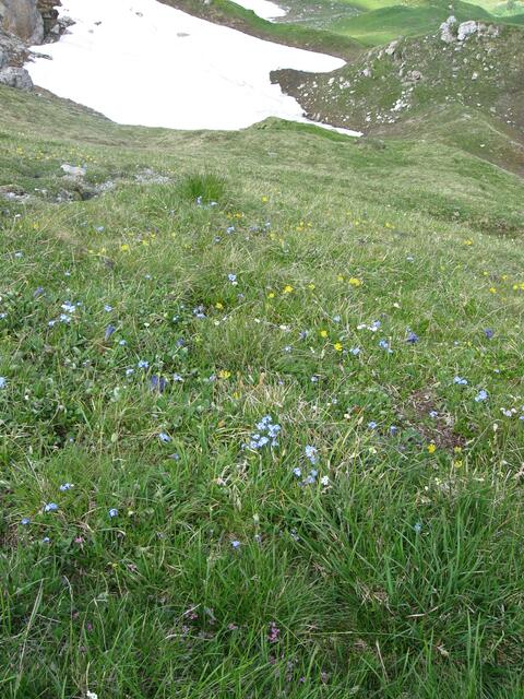 die Spuren des Winters sind noch da.......