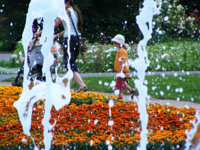 wasser-blumen-mensch