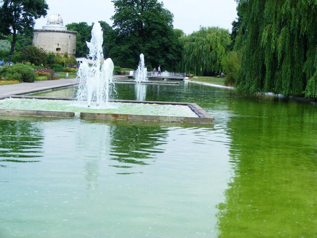die wasserachse