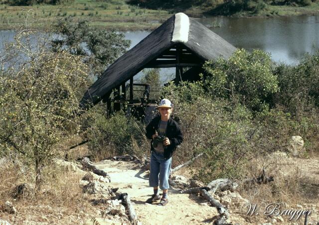 unter dem Reetdach befindet sich ein Zelt - direkt am Staudamm, wo sich allerlei Wild und auch Vögel tummeln. Nachts laufen Elefanten durchs Camp