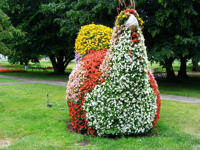 sonderrasse-erfurter blumenhuhn