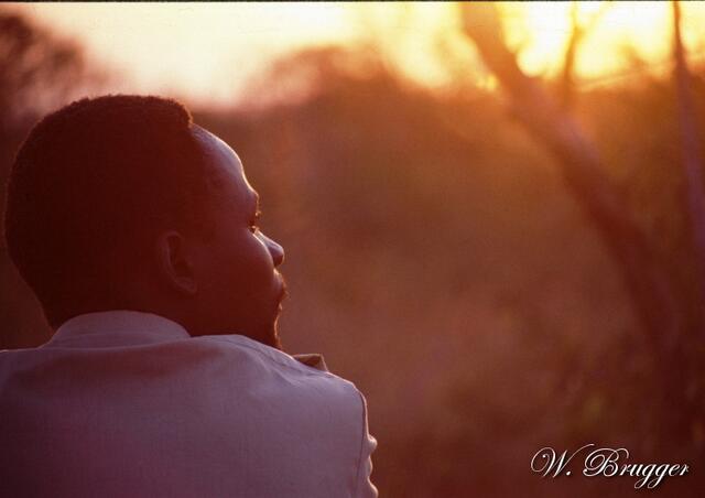 Er erspäht das Wild und sagt dem Fahrer, wohin es geht