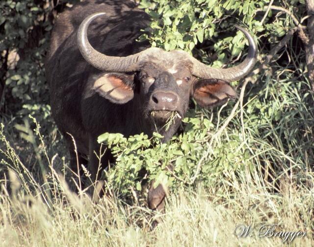 bitte Abstand halten ....