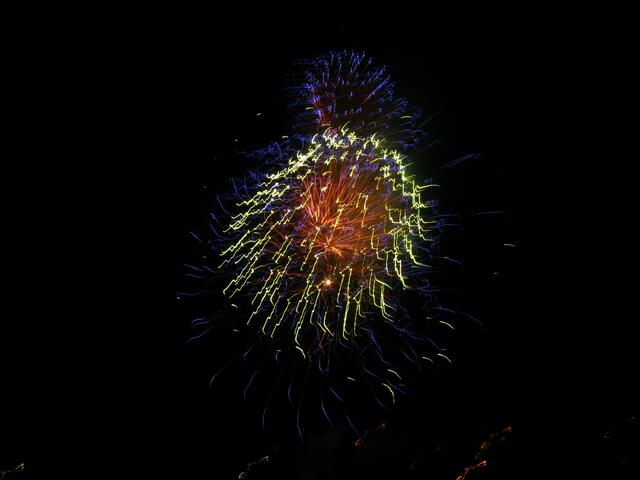 Feuerwerk wie eine Qualle