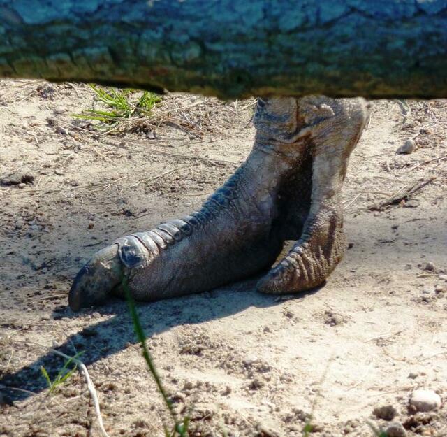 Ganz schön beeindruckend!