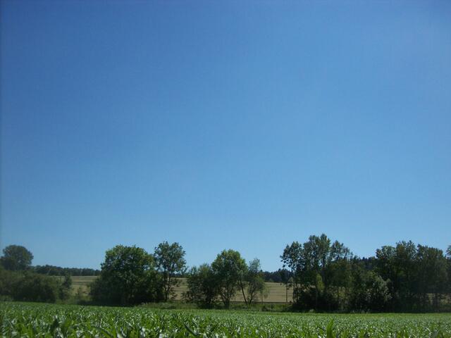 Emmering 8.7.10, 14:19 Uhr - 14:25 Uhr