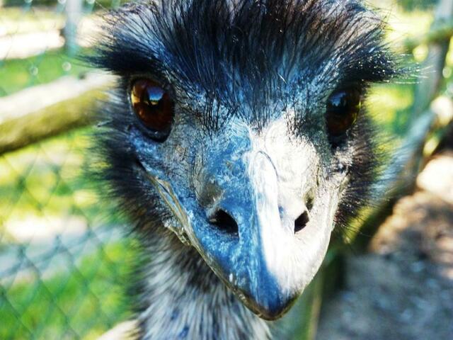 ER hat es mir besonders angetan!