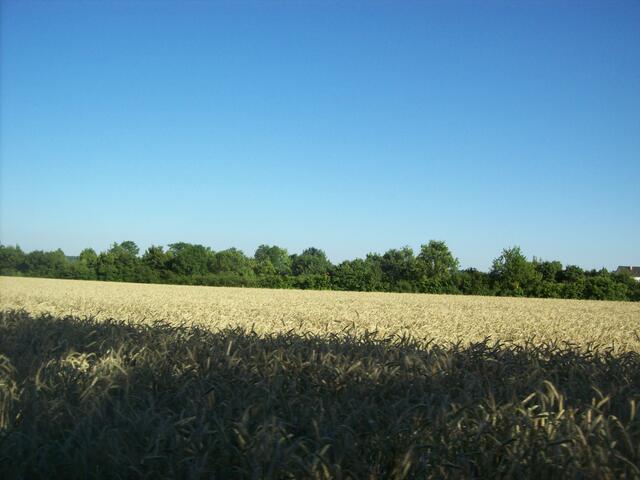 Emmering 8.7.10, 14:19 Uhr - 14:25 Uhr