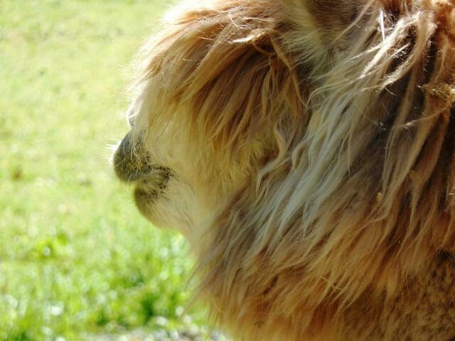 Kein Augenkontakt möglich...