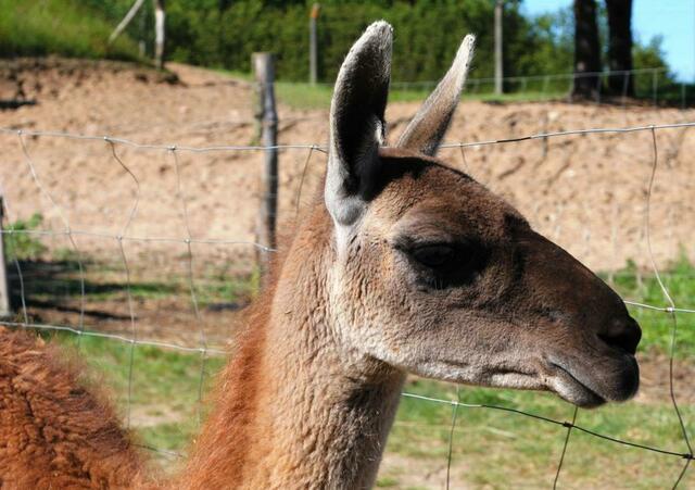 Wunderschön anzuschauen