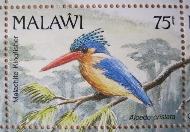 Malachite Kingfisher / Haubenzwergfischer - Ausschnitt aus einem Sondermarken-Bogen, Malawi