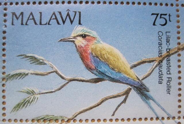 Lilac-breasted Roller, ein stattlicher Vogel: Malawi-Sondermarke