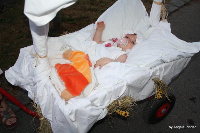 Sieht richtig gemütlich aus.