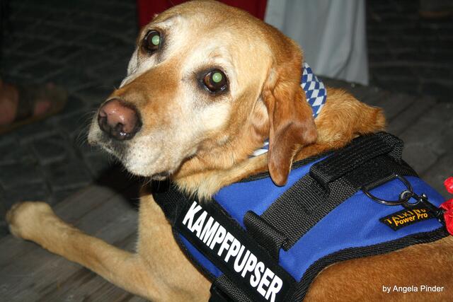 ...wenn Du mal Hilfe brauchst!