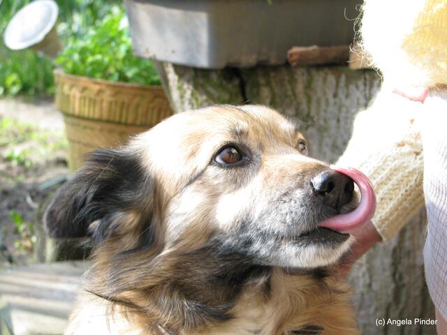 ...in guten wie in schlechten Zeiten!