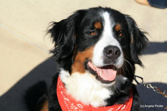 Ich verlasse Dich nie!