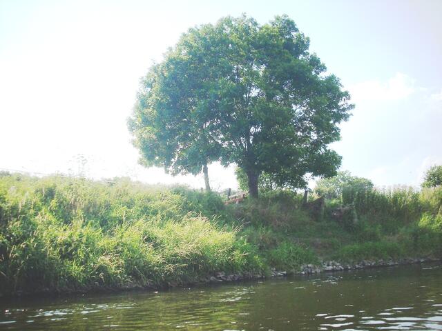 Die Parkbank an der Koldinger Droth