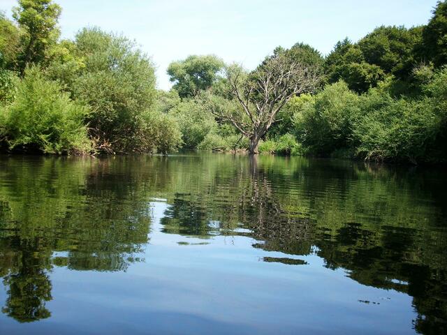 Diese Stille